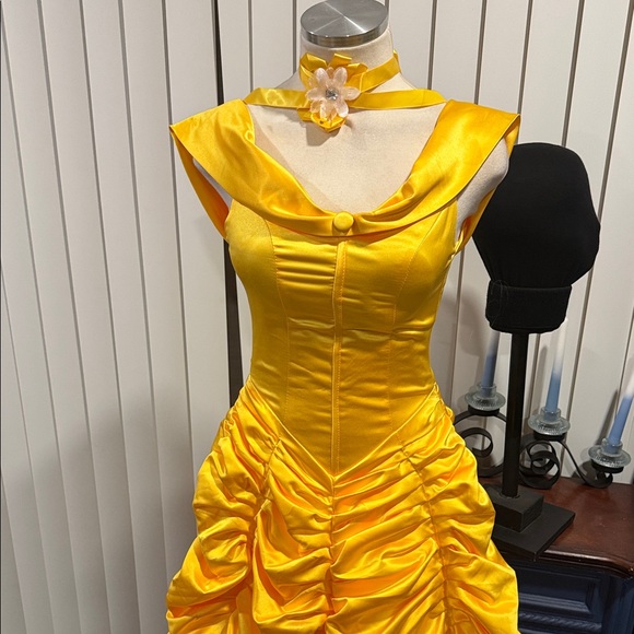 Beauty and the Beast - Belle Gown - Picture 2 of 8